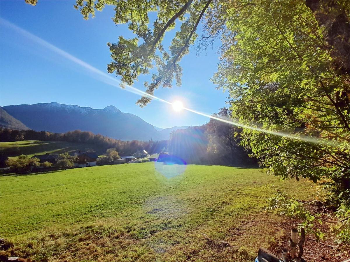 Ferienwohnungen Seraphine Und Theresia Grundlsee Dış mekan fotoğraf